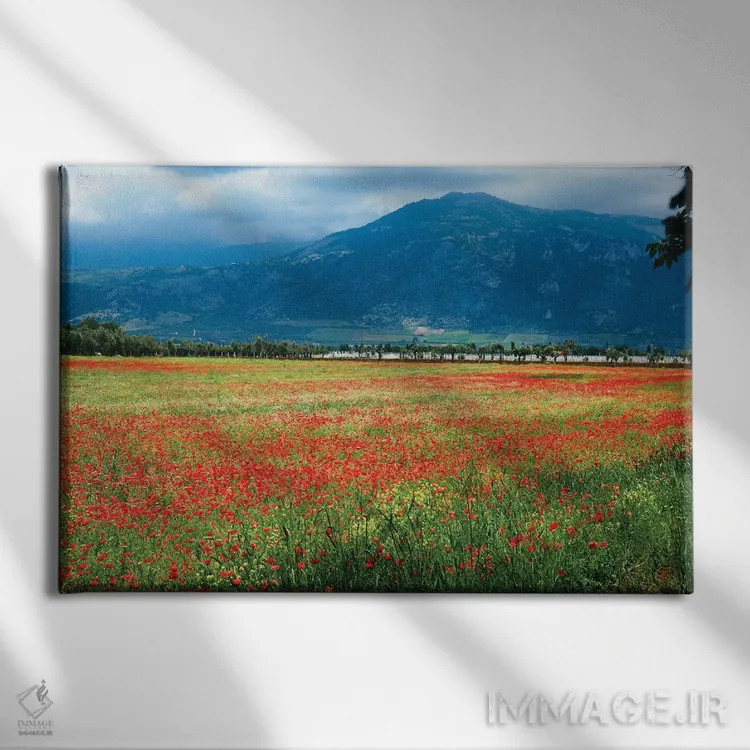 تابلو دکوراتیو چمنزار پر از شقایق، لاتینا، ایتالیا اثر جورج اوزه - نمای روبهرو روی دیوار