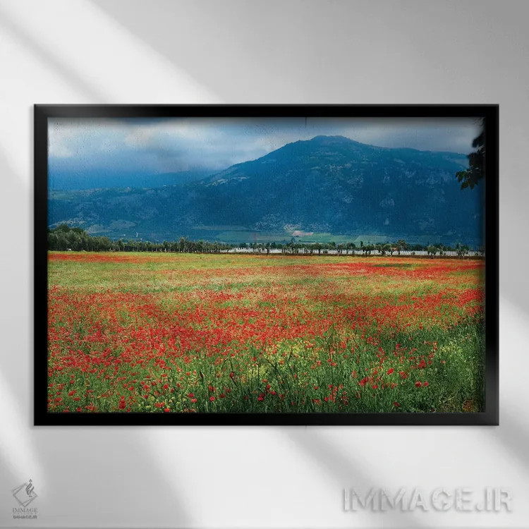 تابلو دکوراتیو چمنزار پر از شقایق، لاتینا، ایتالیا اثر جورج اوزه - نمای قابدار مشکی