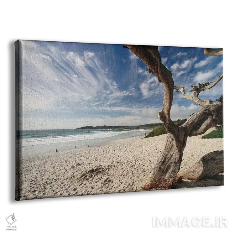 تابلو دکوراتیو نمای ساحلی کرمل کنار دریا، کالیفرنیا اثر جورج اوزه - نمای پرسپکتیو محصول