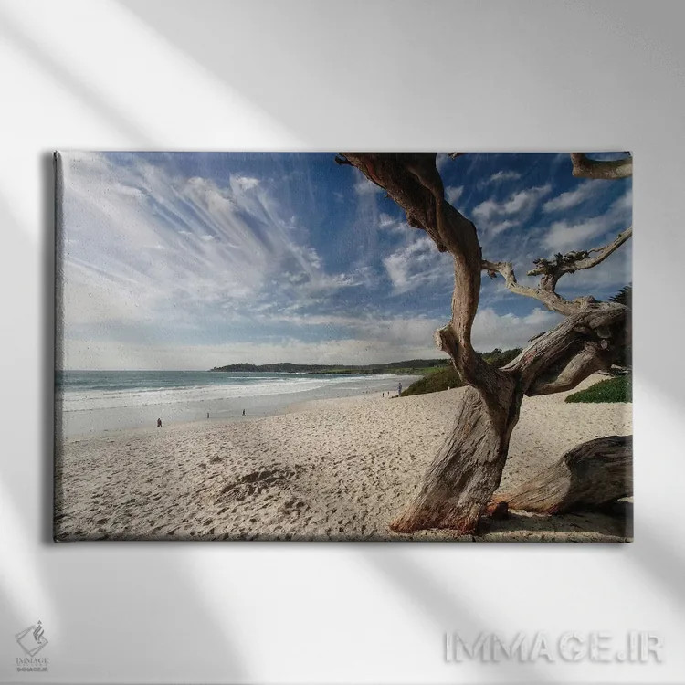 تابلو دکوراتیو نمای ساحلی کرمل کنار دریا، کالیفرنیا اثر جورج اوزه - نمای روبهرو روی دیوار