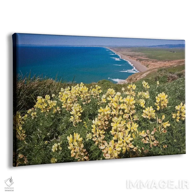 تابلو دکوراتیو ساحل پوینت ریس در بهار، کالیفرنیا اثر جورج اوزه - نمای پرسپکتیو محصول