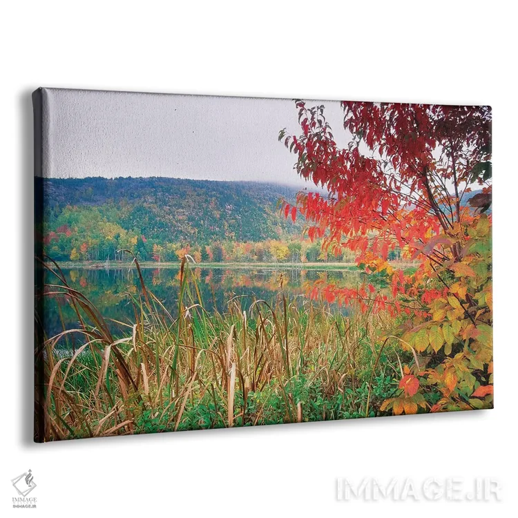 تابلو دکوراتیو دریاچه دیدنی در پاییز، پارک ملی آکادیا، مین اثر جورج اوزه - نمای پرسپکتیو محصول