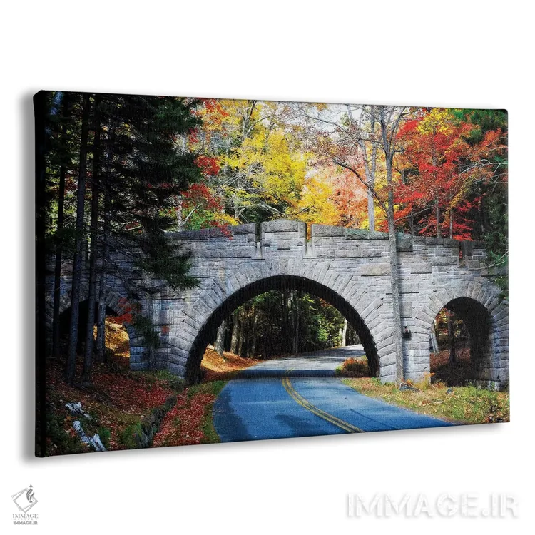 تابلو دکوراتیو پل سنگی بر جاده کالسکه رو، پارک ملی آکادیا، مین اثر جورج اوزه - نمای پرسپکتیو محصول