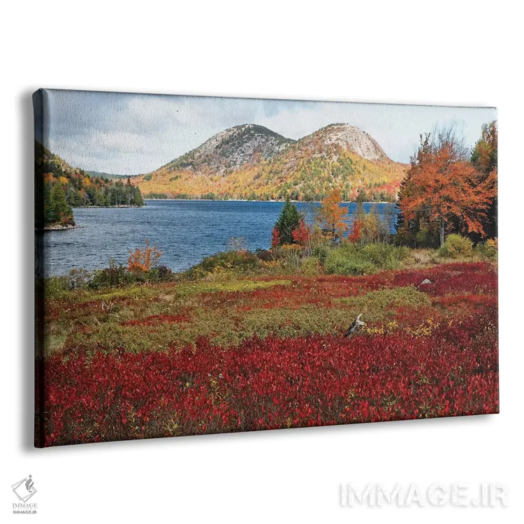 تابلو دکوراتیو برکه جوردن و حباب ها، منظره پاییزی، پارک ملی آکادیا، مین اثر جورج اوزه - نمای پرسپکتیو محصول