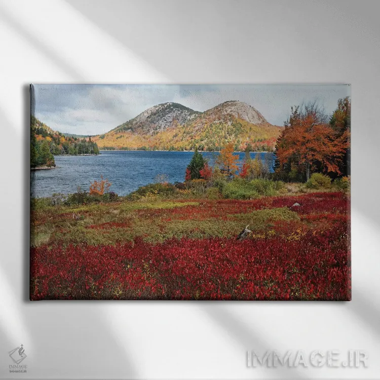 تابلو دکوراتیو برکه جوردن و حباب ها، منظره پاییزی، پارک ملی آکادیا، مین اثر جورج اوزه - نمای روبهرو روی دیوار