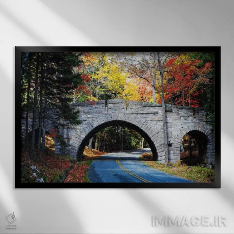 تابلو دکوراتیو پل سنگی بر جاده کالسکه رو، پارک ملی آکادیا، مین اثر جورج اوزه - نمای قابدار مشکی