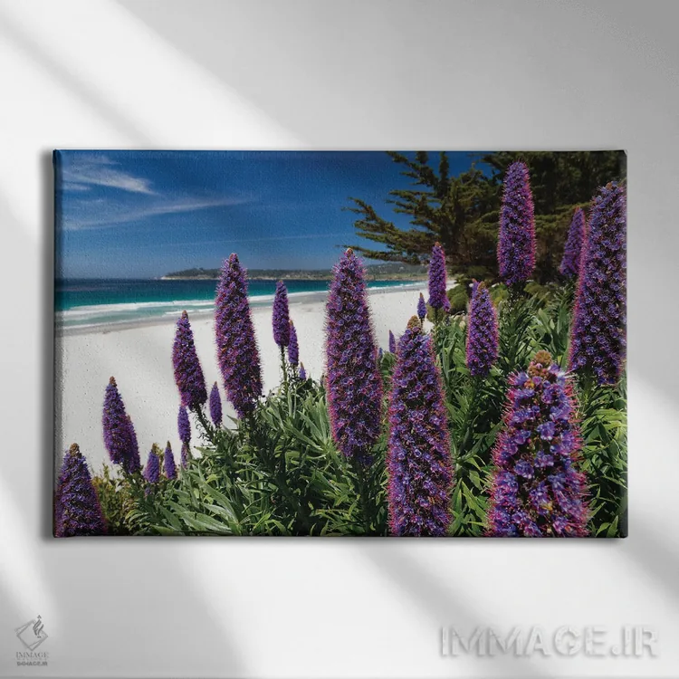 تابلو دکوراتیو گل های وحشی شکوفا در امتداد ساحل اقیانوس آرام، کرمل بای د سی اثر جورج اوزه - نمای روبهرو روی دیوار