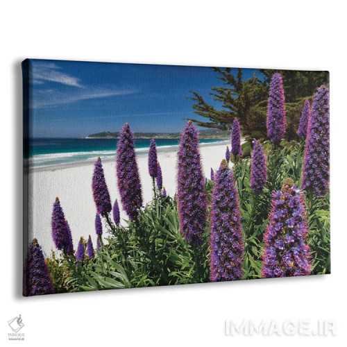 تابلو دکوراتیو گل های وحشی شکوفا در امتداد ساحل اقیانوس آرام، کرمل بای د سی اثر جورج اوزه - نمای پرسپکتیو محصول