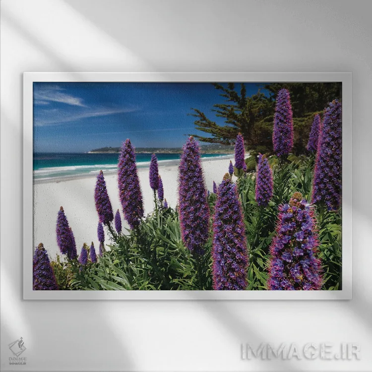 تابلو دکوراتیو گل های وحشی شکوفا در امتداد ساحل اقیانوس آرام، کرمل بای د سی اثر جورج اوزه - نمای قابدار سفید