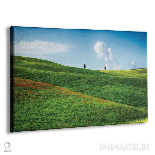 تابلو دکوراتیو Tuscany, Italy,تپه های نرم با درختان سرو، توسکانی، ایتالیا اثر جورج اوزه - نمای پرسپکتیو محصول