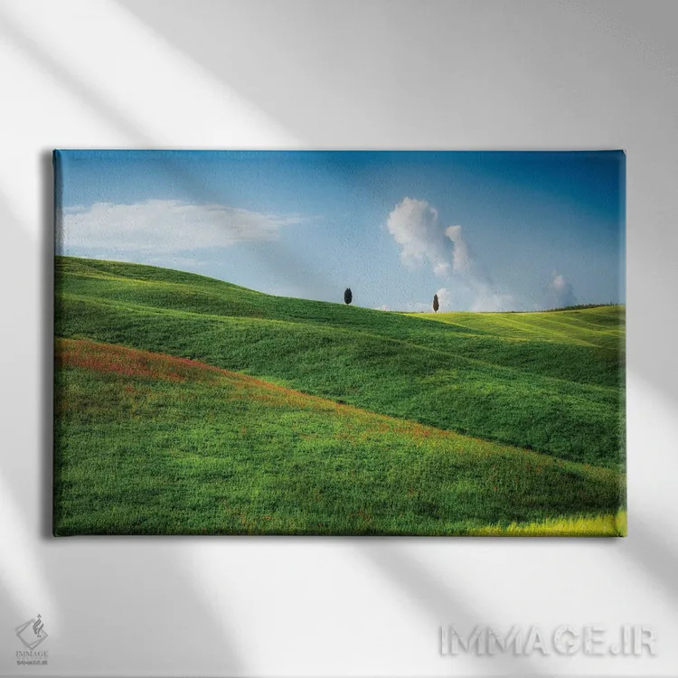 تابلو دکوراتیو Tuscany, Italy,تپه های نرم با درختان سرو، توسکانی، ایتالیا اثر جورج اوزه - نمای روبهرو روی دیوار