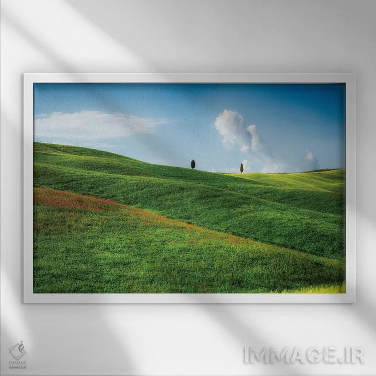 تابلو دکوراتیو Tuscany, Italy,تپه های نرم با درختان سرو، توسکانی، ایتالیا اثر جورج اوزه - نمای قابدار سفید