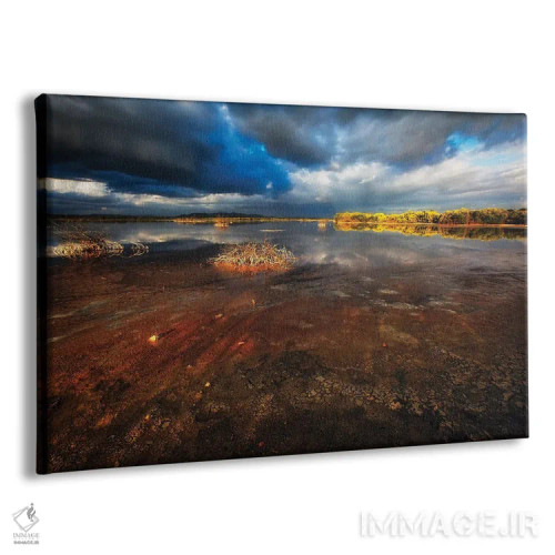 تابلو دکوراتیو منظره مرداب شور، کابو روخو، پورتوریکو اثر جورج اوزه - نمای پرسپکتیو محصول