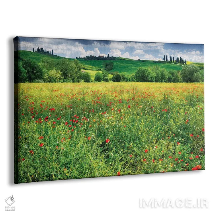 تابلو دکوراتیو چمنزار بهاری، پینتزا، وال دورچیا، توسکانی، ایتالیا اثر جورج اوزه - نمای پرسپکتیو محصول