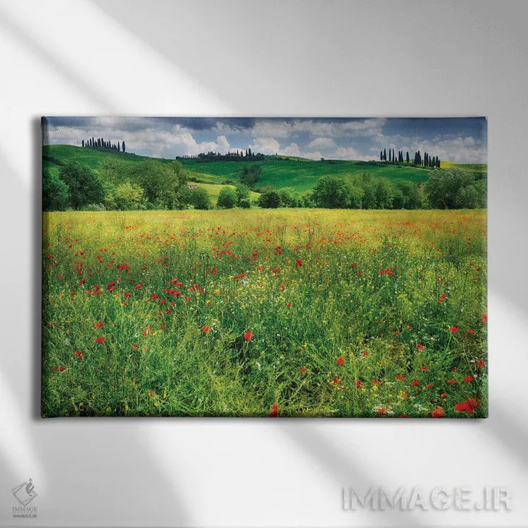 تابلو دکوراتیو چمنزار بهاری، پینتزا، وال دورچیا، توسکانی، ایتالیا اثر جورج اوزه - نمای روبهرو روی دیوار