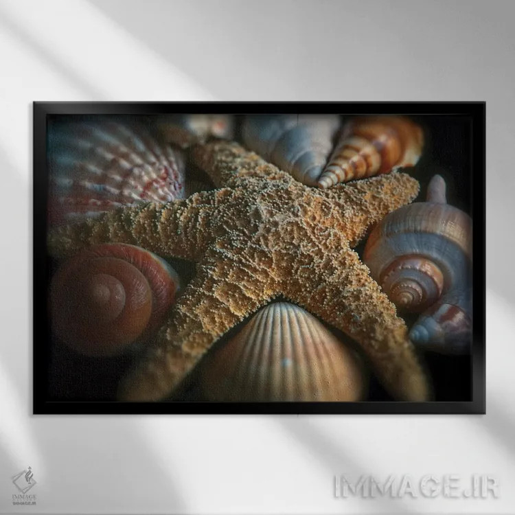 تابلو دکوراتیو نمای نزدیک از یک ستاره دریایی با صدف های گوناگون اثر جورج اوزه - نمای قابدار مشکی