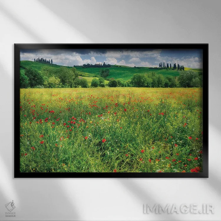 تابلو دکوراتیو چمنزار بهاری، پینتزا، وال دورچیا، توسکانی، ایتالیا اثر جورج اوزه - نمای قابدار مشکی