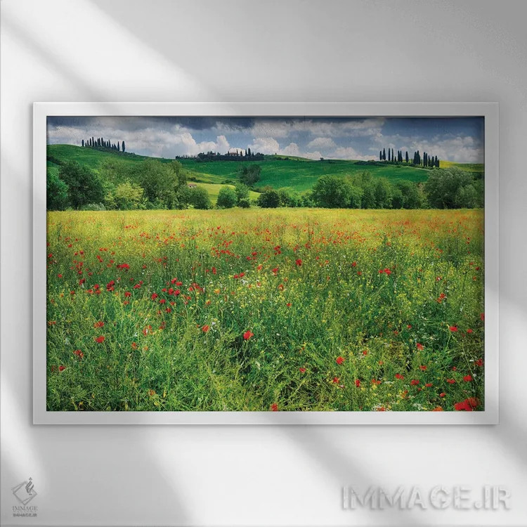 تابلو دکوراتیو چمنزار بهاری، پینتزا، وال دورچیا، توسکانی، ایتالیا اثر جورج اوزه - نمای قابدار سفید