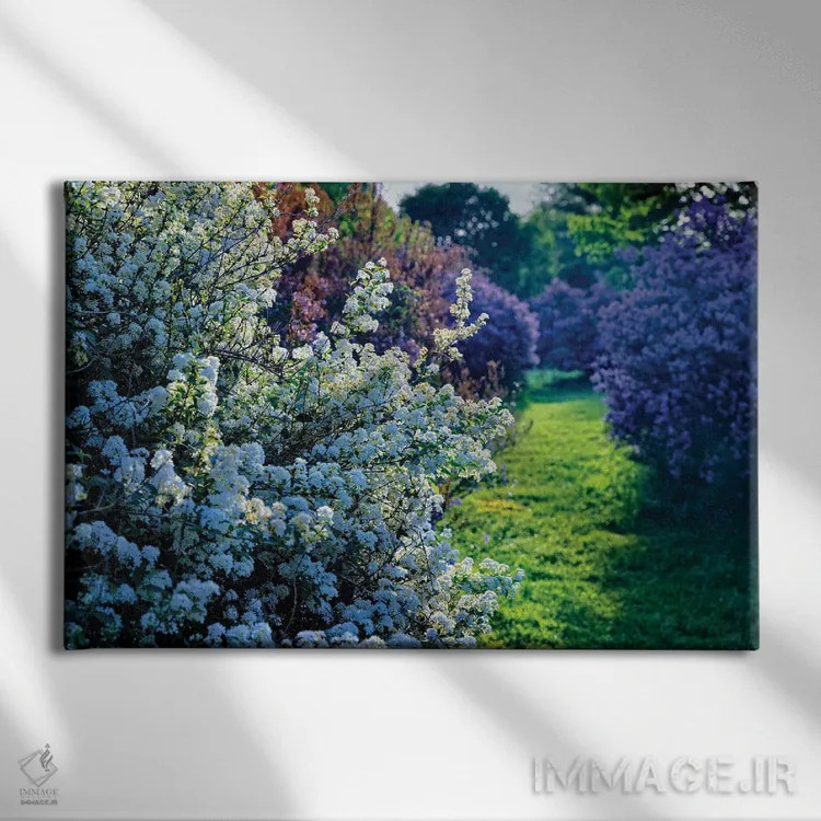 تابلو دکوراتیو شکوفه های یاس بنفش و اسپرآ در باغ، نیوجرسی اثر جورج اوزه - نمای روبهرو روی دیوار
