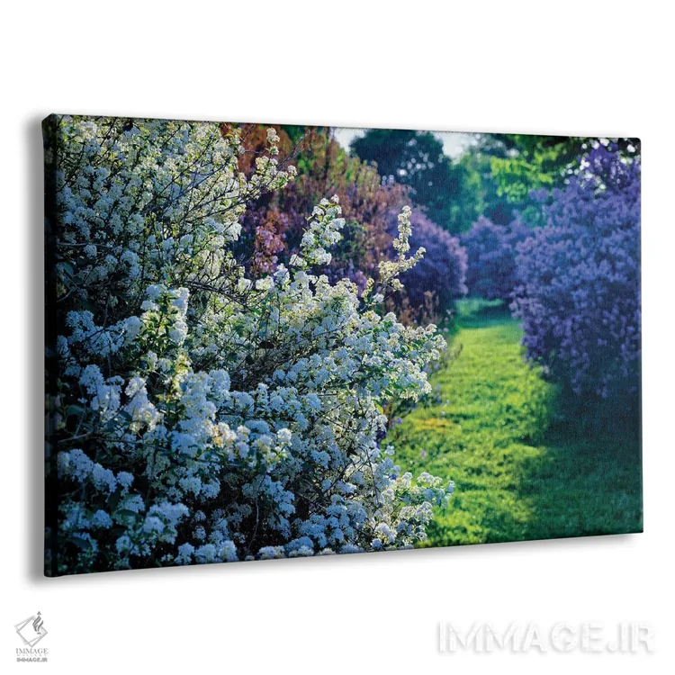 تابلو دکوراتیو شکوفه های یاس بنفش و اسپرآ در باغ، نیوجرسی اثر جورج اوزه - نمای پرسپکتیو محصول