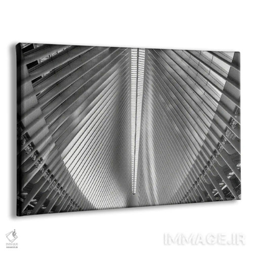 تابلو دکوراتیو پرهای تیرآهنی اثر جورج اوزه - نمای پرسپکتیو محصول