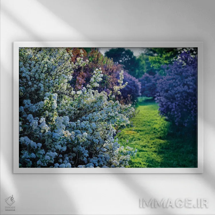 تابلو دکوراتیو شکوفه های یاس بنفش و اسپرآ در باغ، نیوجرسی اثر جورج اوزه - نمای قابدار سفید