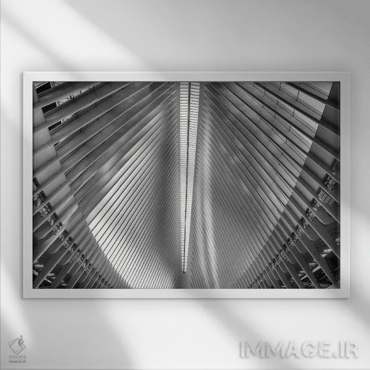 تابلو دکوراتیو پرهای تیرآهنی اثر جورج اوزه - نمای قابدار سفید