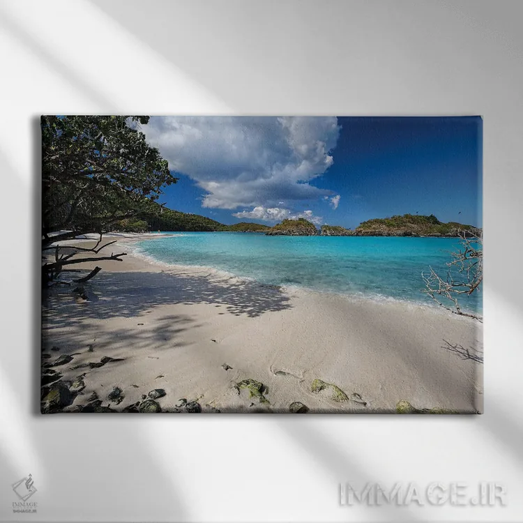 تابلو دکوراتیو ساحل دنج، ترانک بی، سنت جان، جزایر ویرجین آمریکا اثر جورج اوزه - نمای روبهرو روی دیوار