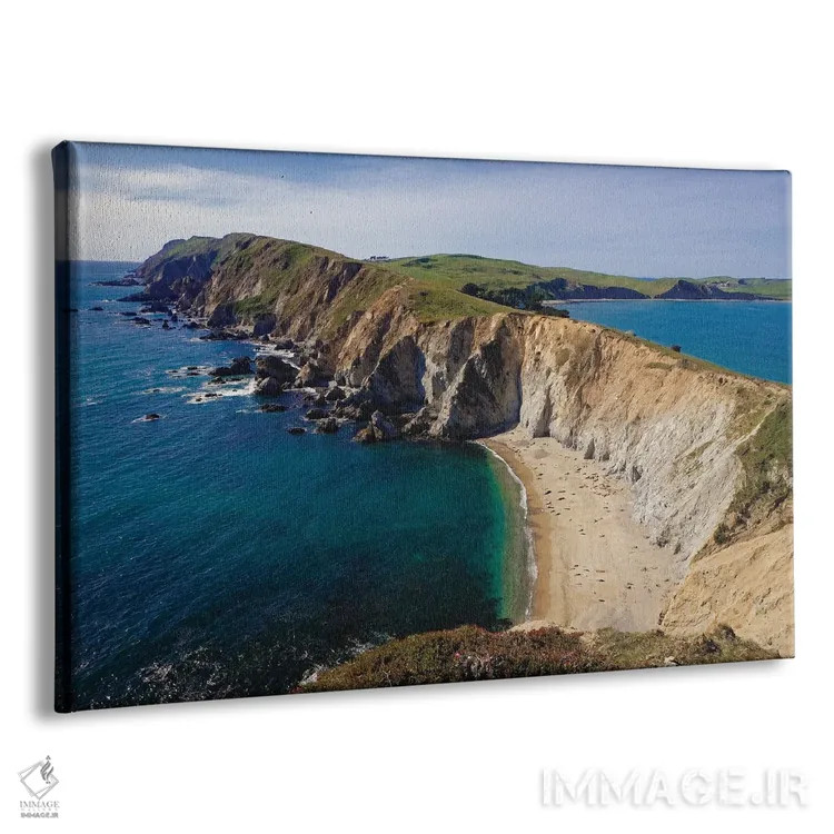 تابلو دکوراتیو صخره چمنی راک، ساحل ملی پوینت ریس، کالیفرنیا اثر جورج اوزه - نمای پرسپکتیو محصول