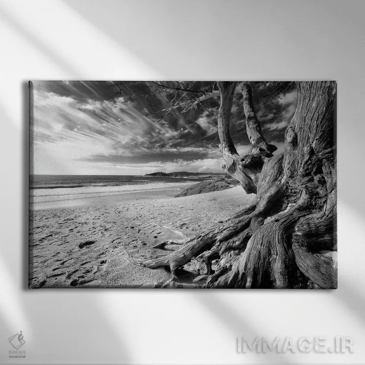 تابلو دکوراتیو درخت ساحل کارمل، کالیفرنیا اثر جورج اوزه - نمای روبهرو روی دیوار