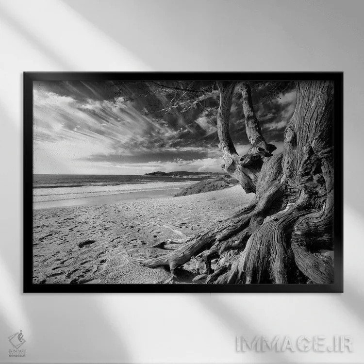 تابلو دکوراتیو درخت ساحل کارمل، کالیفرنیا اثر جورج اوزه - نمای قابدار مشکی
