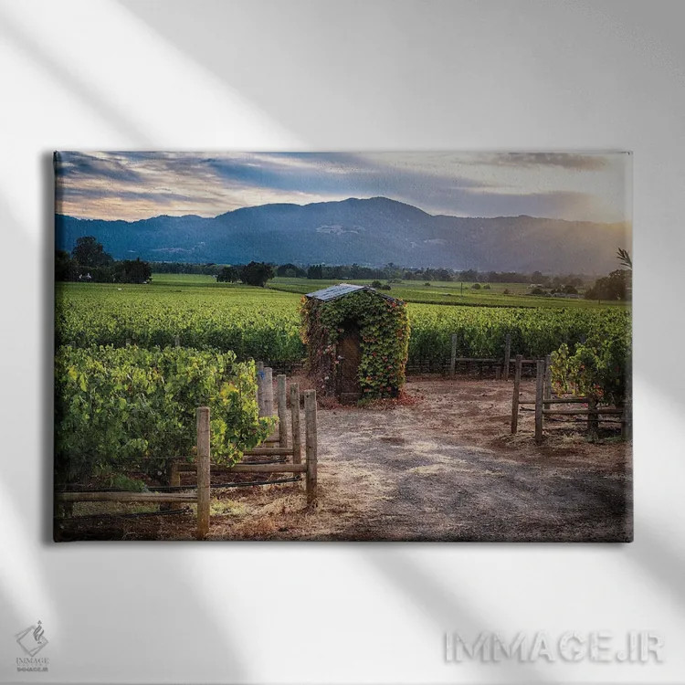 تابلو دکوراتیو تاکستان دره ناپا با آلونک کوچک، اوکویل، کالیفرنیا اثر جورج اوزه - نمای روبهرو روی دیوار