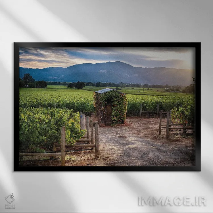 تابلو دکوراتیو تاکستان دره ناپا با آلونک کوچک، اوکویل، کالیفرنیا اثر جورج اوزه - نمای قابدار مشکی