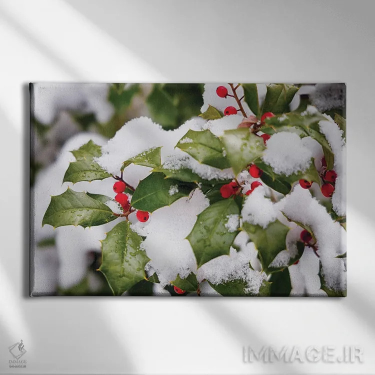 تابلو دکوراتیو گیاه هالی زمستانی اثر جورج اوزه - نمای روبهرو روی دیوار