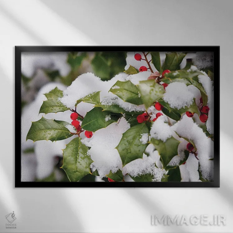 تابلو دکوراتیو گیاه هالی زمستانی اثر جورج اوزه - نمای قابدار مشکی
