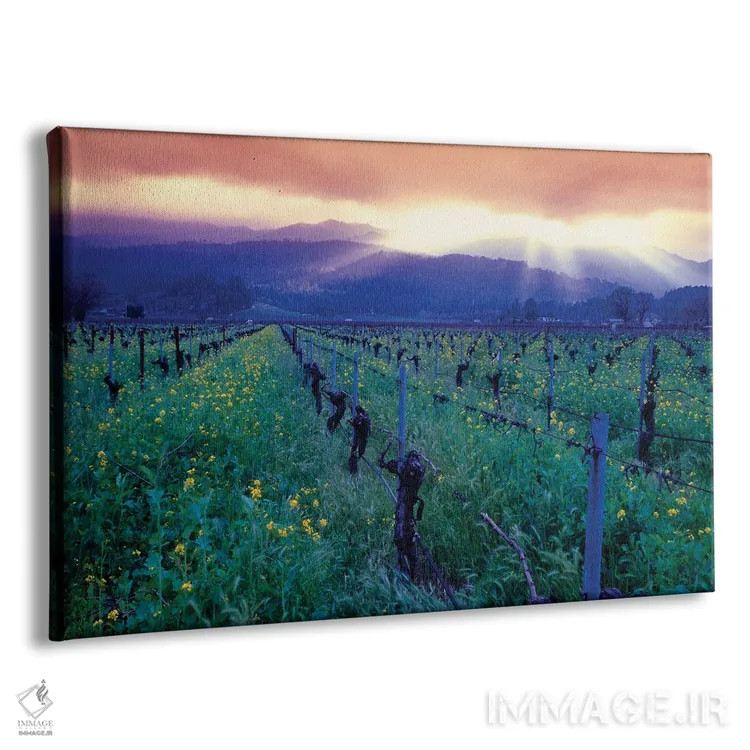تابلو دکوراتیو غروب بهاری بر فراز دره ناپا، اوکویل، کالیفرنیا اثر جورج اوزه - نمای پرسپکتیو محصول