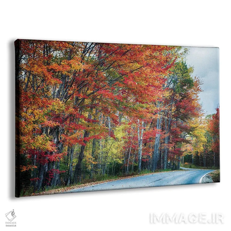 تابلو دکوراتیو جاده پاییزی چشم نواز در آکادیا، مین اثر جورج اوزه - نمای پرسپکتیو محصول