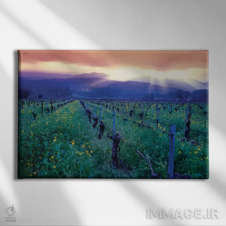 تابلو دکوراتیو غروب بهاری بر فراز دره ناپا، اوکویل، کالیفرنیا اثر جورج اوزه - نمای روبهرو روی دیوار