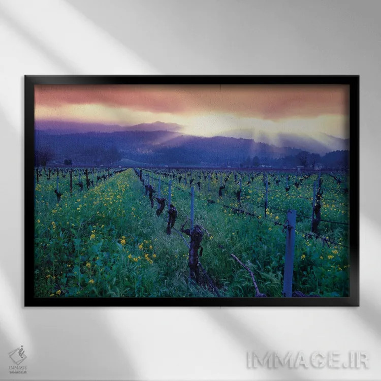 تابلو دکوراتیو غروب بهاری بر فراز دره ناپا، اوکویل، کالیفرنیا اثر جورج اوزه - نمای قابدار مشکی