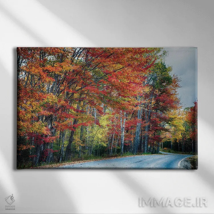 تابلو دکوراتیو جاده پاییزی چشم نواز در آکادیا، مین اثر جورج اوزه - نمای روبهرو روی دیوار