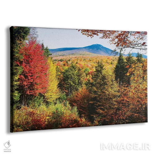 تابلو دکوراتیو رنگ های پاییز کوه های سفید، نیوهمپشایر اثر جورج اوزه - نمای پرسپکتیو محصول