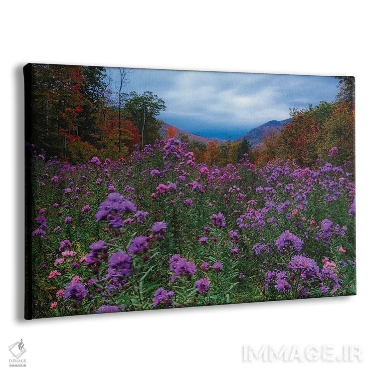 تابلو دکوراتیو چمنزار پاییزی در غروب پر از گل های وحشی اثر جورج اوزه - نمای پرسپکتیو محصول