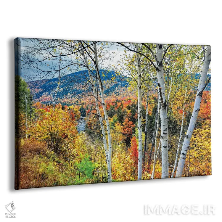 تابلو دکوراتیو انفجار رنگ پاییزی در کوه های سفید، نیوهمپشایر اثر جورج اوزه - نمای پرسپکتیو محصول