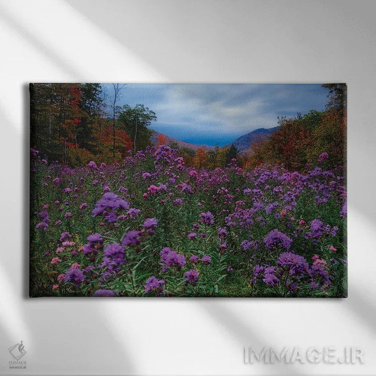 تابلو دکوراتیو چمنزار پاییزی در غروب پر از گل های وحشی اثر جورج اوزه - نمای روبهرو روی دیوار