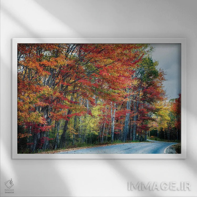 تابلو دکوراتیو جاده پاییزی چشم نواز در آکادیا، مین اثر جورج اوزه - نمای قابدار سفید