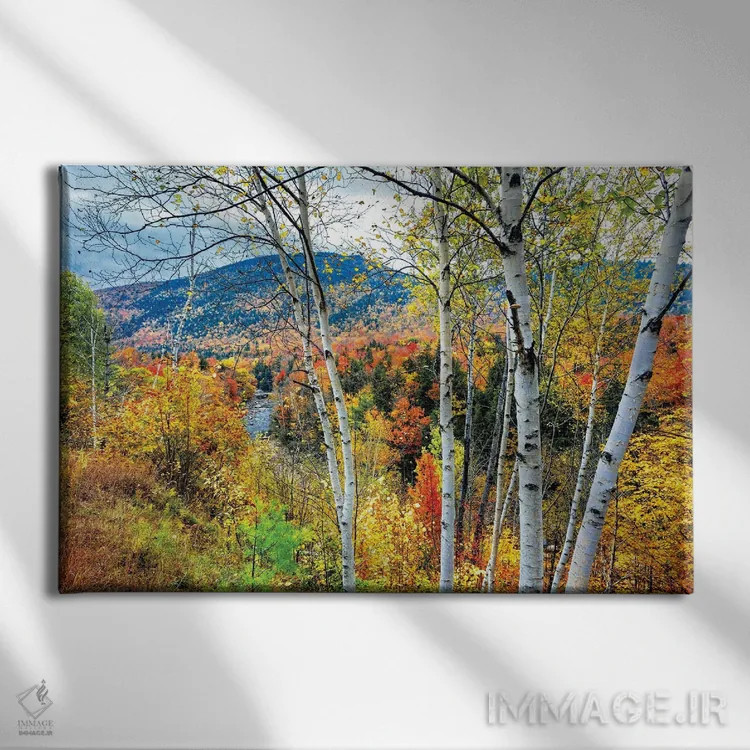 تابلو دکوراتیو انفجار رنگ پاییزی در کوه های سفید، نیوهمپشایر اثر جورج اوزه - نمای روبهرو روی دیوار