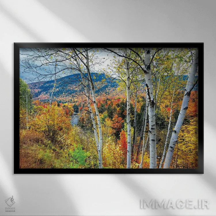 تابلو دکوراتیو انفجار رنگ پاییزی در کوه های سفید، نیوهمپشایر اثر جورج اوزه - نمای قابدار مشکی