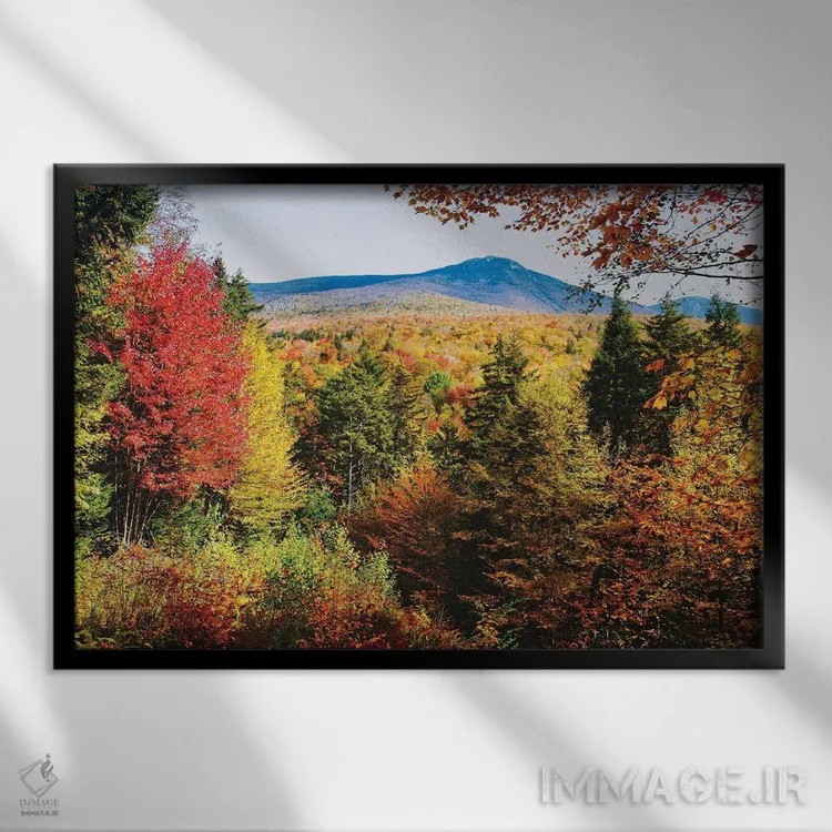 تابلو دکوراتیو رنگ های پاییز کوه های سفید، نیوهمپشایر اثر جورج اوزه - نمای قابدار مشکی