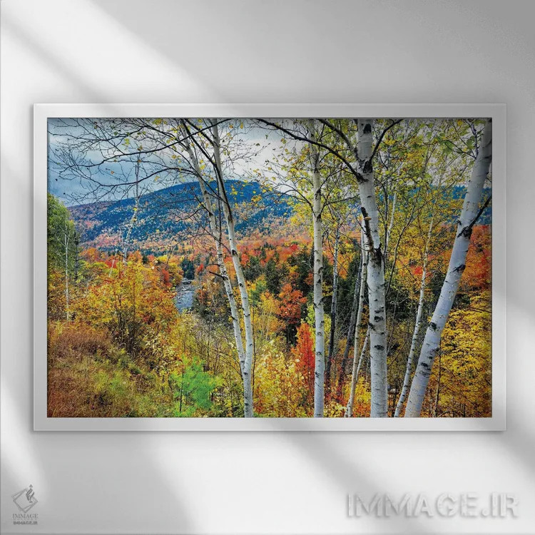 تابلو دکوراتیو انفجار رنگ پاییزی در کوه های سفید، نیوهمپشایر اثر جورج اوزه - نمای قابدار سفید