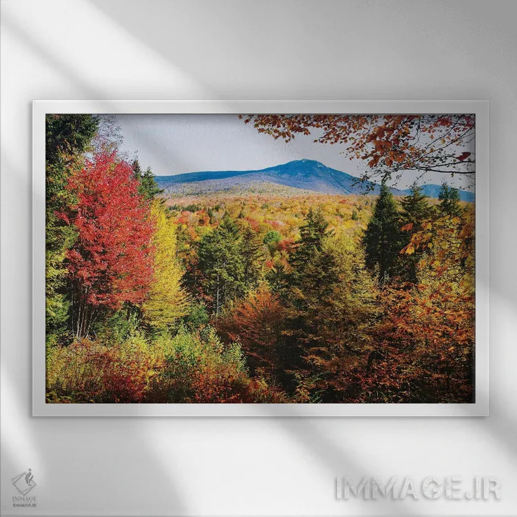 تابلو دکوراتیو رنگ های پاییز کوه های سفید، نیوهمپشایر اثر جورج اوزه - نمای قابدار سفید